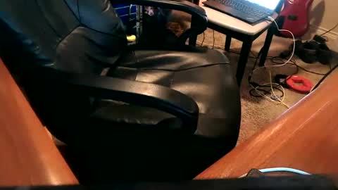 Snapshot of dfwgonewrong chatting on December 25, 3:50 am dfwgonewrong online show from December 25, 3:50 am