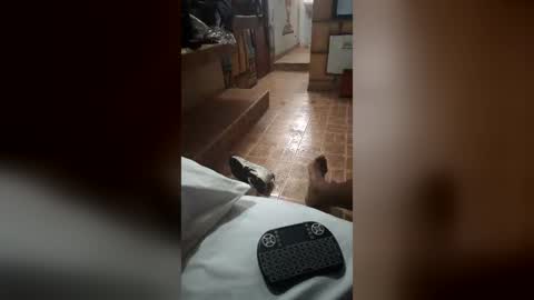 diego0598 online show from June 21, 12:50 am