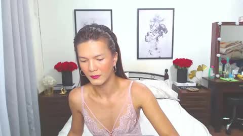Snapshot of diense17 chatting on January 15, 12:30 am Dennesse online show from January 15, 12:30 am