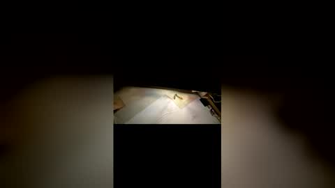 Daddy online show from March 15, 8:40 am