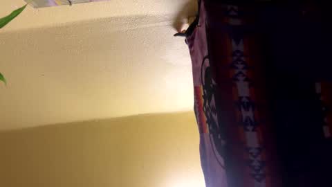 dimepiecebottom online show from December 8, 1:47 pm