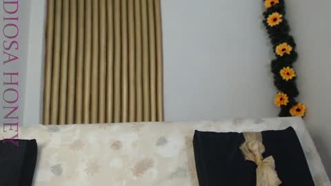 Snapshot of diosa_honey chatting on January 28, 10:45 pm Diosa online show from January 28, 10:45 pm