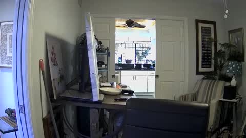 Snapshot of dirkpitt223 chatting on January 3, 7:39 pm DirtkPitt Fun guy working online show from January 3, 7:39 pm