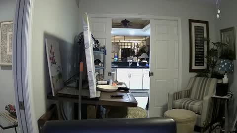 Snapshot of dirkpitt223 chatting on January 4, 2:35 am DirtkPitt Fun guy working online show from January 4, 2:35 am