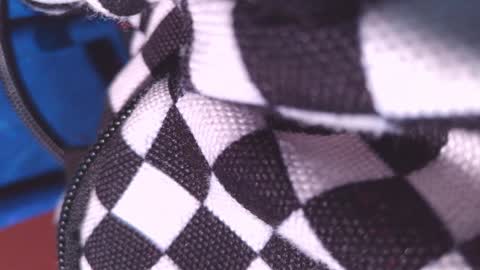 Daisy Wylde online show from February 1, 1:30 pm