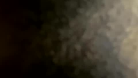 Diver online show from March 28, 3:46 pm