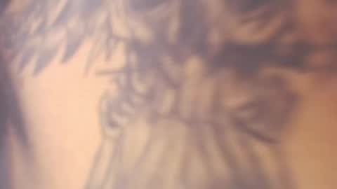 doll_and_thebrown online show from March 21, 8:19 am