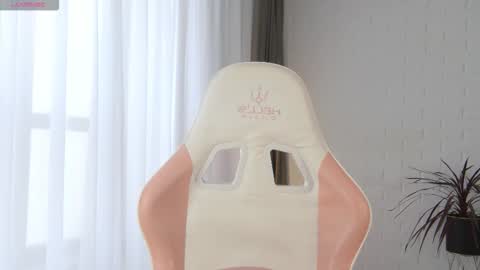 Dolly online show from November 15, 8:38 am