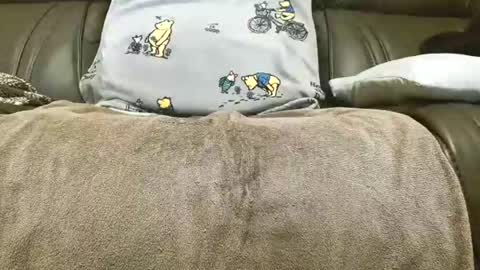 LuvmycockTS69 online show from November 13, 3:20 am