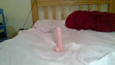 dottletop online show from February 5, 8:21 am