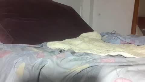 dragonred221 online show from October 8, 1:57 am