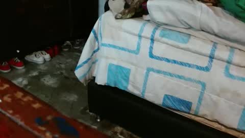 dreamreal online show from November 4, 11:11 am