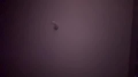 drippinggenie online show from March 6, 5:14 am