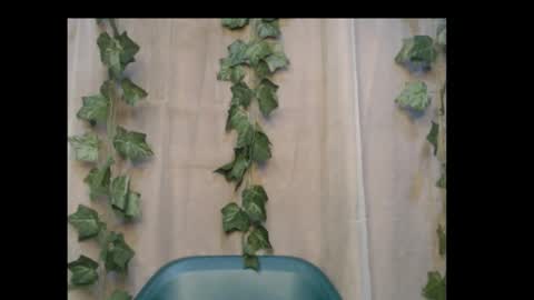 linda online show from November 3, 10:22 pm