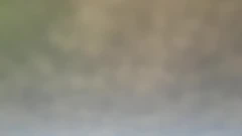 Snapshot of dt51114 chatting on December 21, 6:55 pm StraightStroker online show from December 21, 6:55 pm