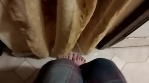 dthedog12 online show from October 8, 9:10 pm