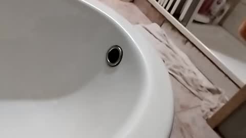 dthedog12 online show from October 26, 11:15 pm