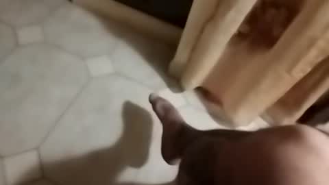 dthedog12 online show from September 30, 9:47 pm