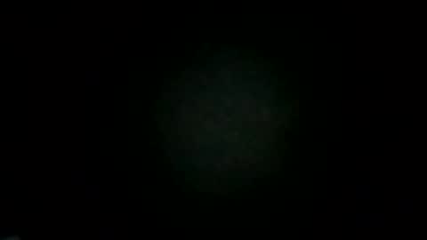 dthedog12 online show from October 14, 3:31 am