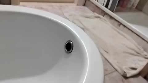 dthedog12 online show from November 1, 10:09 pm