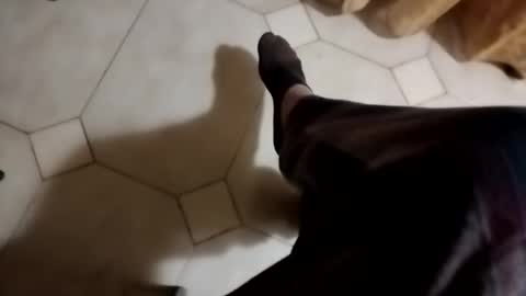 dthedog12 online show from October 23, 1:40 am