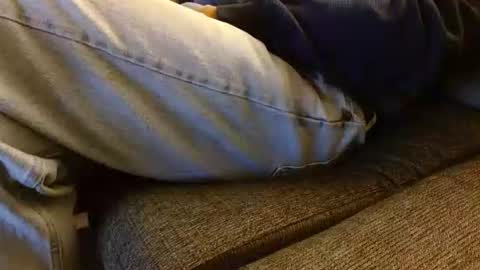 dunany101 online show from December 22, 12:28 am