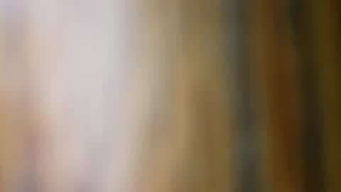 dVe1oPe online show from November 10, 11:13 am