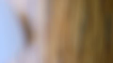 dVe1oPe online show from October 17, 9:57 am