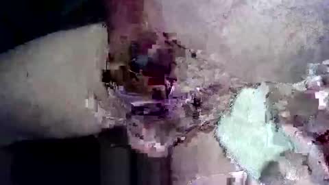 moi online show from February 1, 8:28 pm