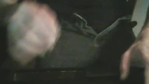 eagleeyes666 online show from May 14, 10:19 pm