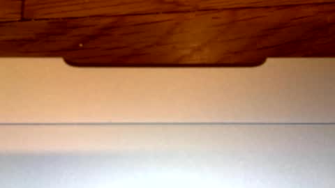 EasyMaxx online show from September 16, 6:00 pm