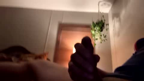 eatfresh1983 online show from September 19, 12:04 am