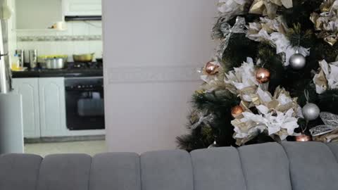 Edecio Cardenas online show from December 9, 7:50 pm