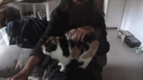 eighthundredeightyeight online show from November 9, 11:02 am