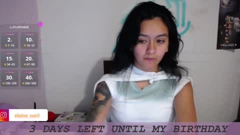 Snapshot of elaine_sun chatting on January 23, 6:06 am Elaine eli online show from January 23, 6:06 am