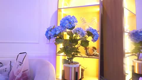 Elasummeer online show from December 22, 11:28 am