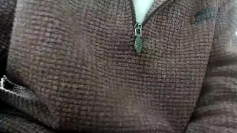 elfyonee online show from January 15, 12:14 pm