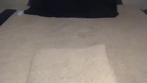 elgsslt online show from December 3, 11:44 am