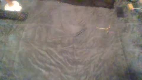 elgsslt online show from February 9, 2:07 pm