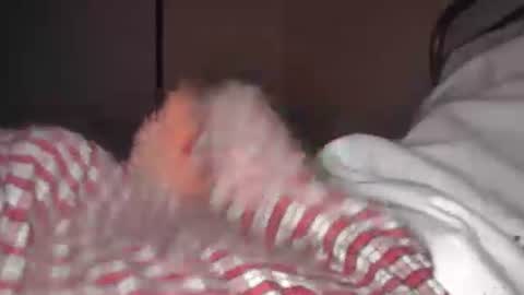 eliexavier123456789 online show from April 21, 5:36 am