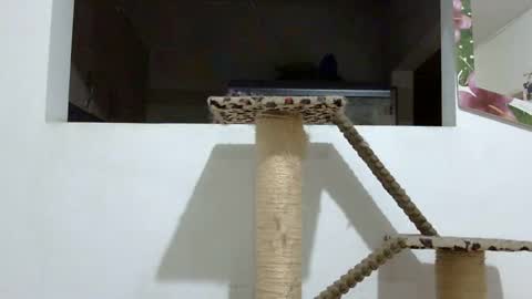 Snapshot of elizabeth_martinez_ chatting on January 18, 2:03 am Elizabeth Martinez online show from January 18, 2:03 am