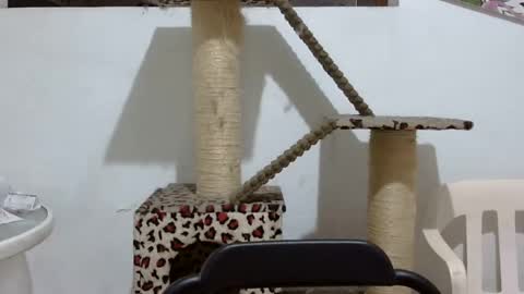 Snapshot of elizabeth_martinez_ chatting on March 3, 6:35 pm Elizabeth Martinez online show from March 3, 6:35 pm