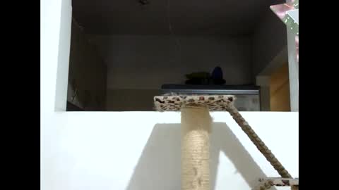 Snapshot of elizabeth_martinez_ chatting on January 19, 8:09 pm Elizabeth Martinez online show from January 19, 8:09 pm