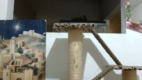 Snapshot of elizabeth_martinez_ chatting on January 5, 7:28 pm Elizabeth Martinez online show from January 5, 7:28 pm