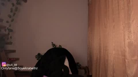 Tuli online show from November 6, 3:09 am