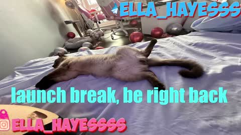 Snapshot of ella_hayes chatting on January 7, 12:45 am Ella NEXT STREAM 1TH DECEMBER 1200 - 0800 AM AT MOSCOW TIME online show from January 7, 12:45 am