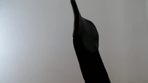 elosocazador online show from October 9, 2:11 pm