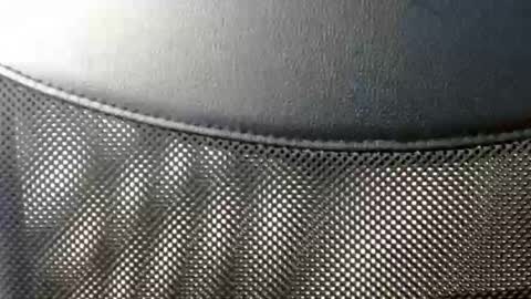 elosocazador online show from November 5, 6:43 pm