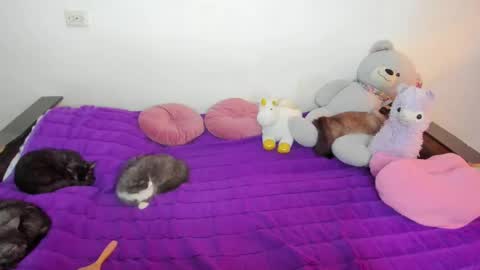 Elsa online show from October 8, 7:20 pm