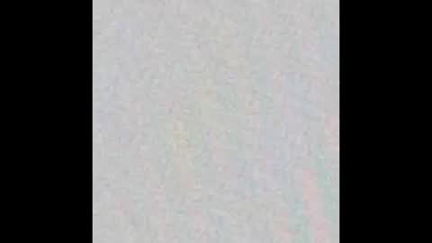 Ely online show from October 25, 11:31 am